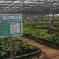 Commemorating National Nature Conservation Day 2026, Jiva Catalyst Foundation Hosts “Seed to Forest: Conservation in Action” Featuring Action-Based Participants Concept